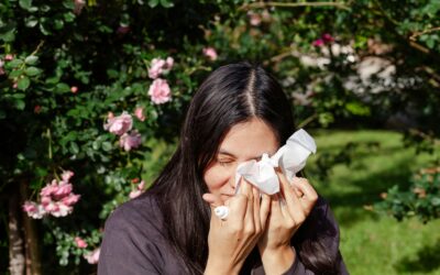 Understanding the Allergy Puzzle: Demographics, Environment, and Income Factors