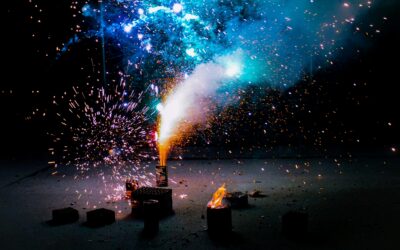 Fireworks Frenzy: Who’s Really Lighting Up the Sky This Independence Day?