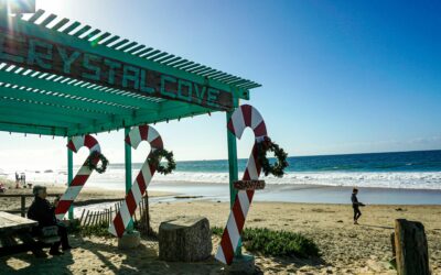 Americans Divided on Holiday Shopping: Is July Too Soon to Start?