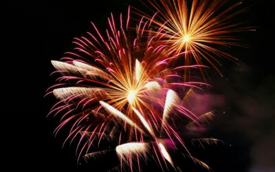 Exploring the Divide: How Americans Celebrate Independence Day with Fireworks Displays