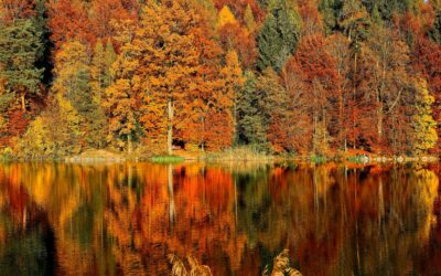 When Is the Best Time To Travel? Many Americans Say Fall. Do You Agree?