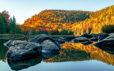 American’s Leaf-Peeping Travelers Stand Out as Careful Planners and Spenders