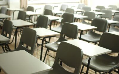 Nearly Half of Americans Love to Learn