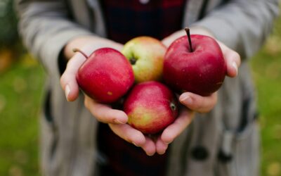 National Apple Day Divide: Sweet Apples Dominate, But Sour Fans Stand Out