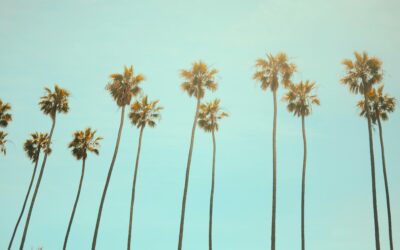 Is 2026 the New 2016? What Americans Hope, According to CivicScience Data