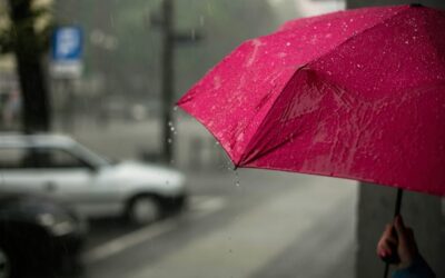 On National Umbrella Day, More than Half of Americans Prefer Umbrellas to Raincoats