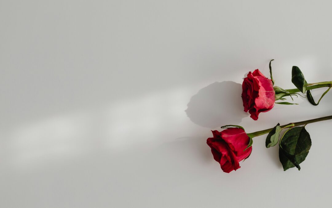 Only 9% Would Compete for Love on Reality TV, CivicScience Finds