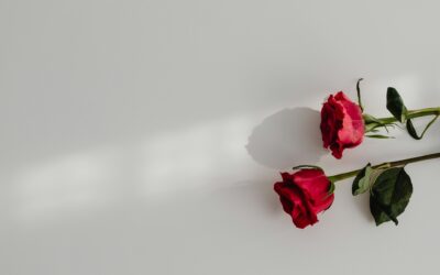 Only 9% Would Compete for Love on Reality TV, CivicScience Finds