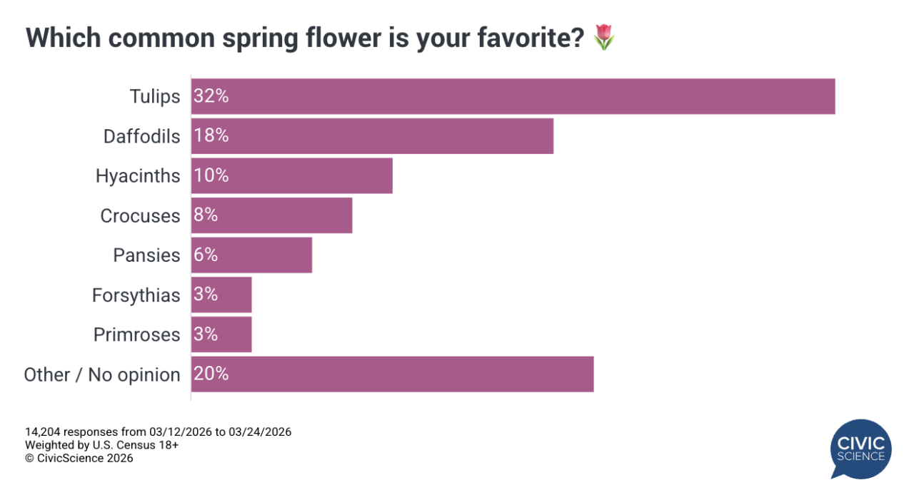 Spring Is in Bloom: America’s Favorite Flowers Revealed - Polls and ...