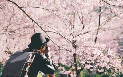 Spring Travel Fans: Who Prefers Vacationing This Time of Year?