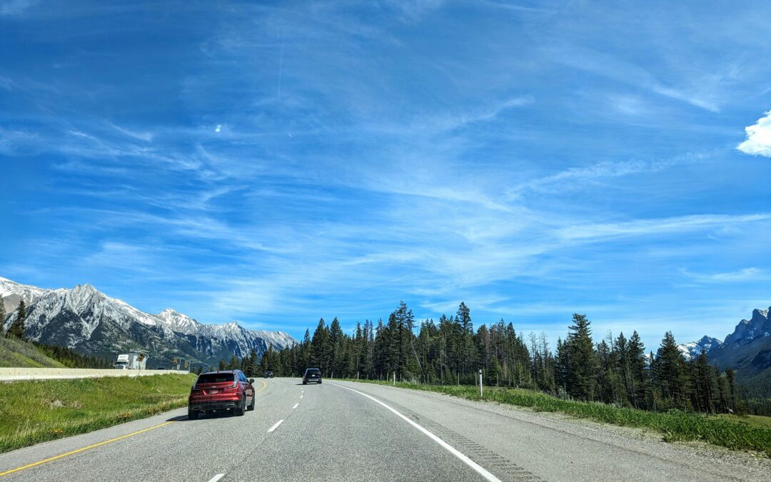 Nearly Half of American Adults Say They Enjoy Long Car Trips, Here’s What It Says About Them