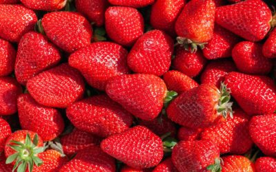 America’s Favorite Berry, Ranked, and What Each Choice Reveals