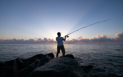 Ever Fished in the Ocean? Here’s What the Data Show