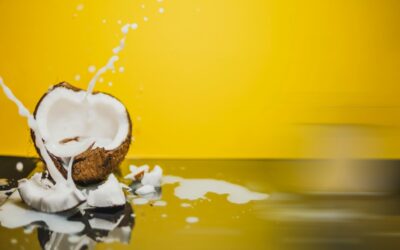 On Coconut Day, Americans Are Divided On the Subject of Coconut Milk