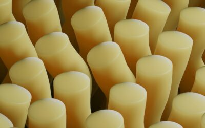 How Do You Eat Your String Cheese? Americans Reveal Their Preferences