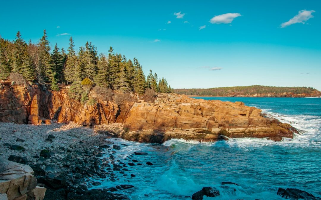 Have You Visited a U.S. National Park? This is How You Stand Apart